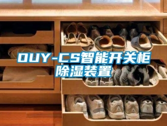 企业新闻OUY-CS智能开关柜除湿装置