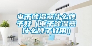 电子除湿器什么牌子好（电子除湿器什么牌子好用）
