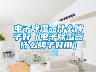 行业新闻电子除湿器什么牌子好（电子除湿器什么牌子好用）