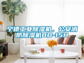 常见问题宁德工业除湿机，公安消防除湿机BD-15H