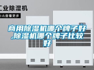 常见问题商用除湿机哪个牌子好,除湿机哪个牌子比较好