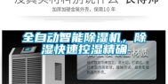 全自动智能除湿机，除湿快速控湿精确
