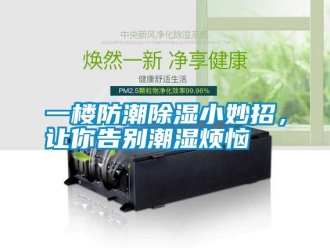 知识百科一楼防潮除湿小妙招，让你告别潮湿烦恼