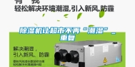 除湿机让超市不再“潮湿”_重复