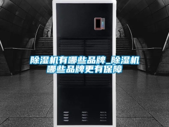 企业新闻除湿机有哪些品牌_除湿机哪些品牌更有保障