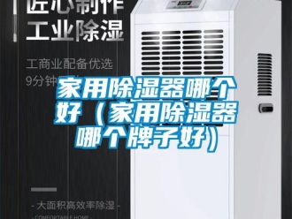 行业新闻家用除湿器哪个好（家用除湿器哪个牌子好）