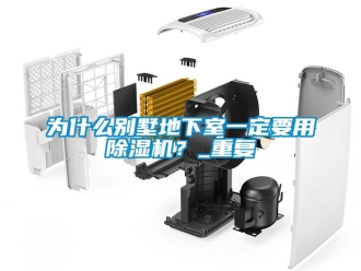 行业新闻为什么别墅地下室一定要用除湿机？_重复