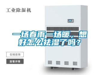 常见问题一场春雨一场暖，想好怎么祛湿了吗？