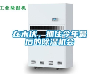 行业新闻在末伏，抓住今年最后的除湿机会