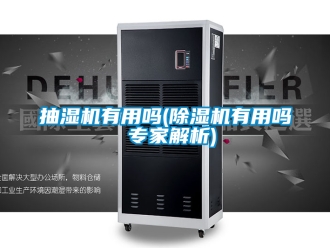 企业新闻抽湿机有用吗(除湿机有用吗 专家解析)