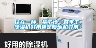 住在一楼，拖了地一直不干，除湿机好用还是吹地机好用？