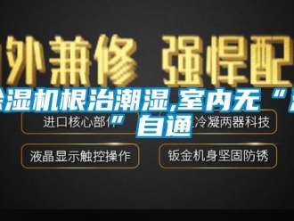 常见问题除湿机根治潮湿,室内无“湿”自通