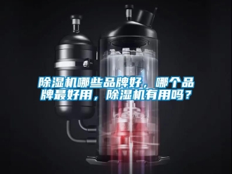企业新闻除湿机哪些品牌好，哪个品牌最好用，除湿机有用吗？