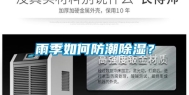 雨季如何防潮除湿？