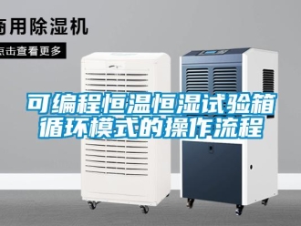 知识百科可编程恒温恒湿试验箱循环模式的操作流程