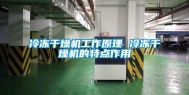 冷冻干燥机工作原理 冷冻干燥机的特点作用