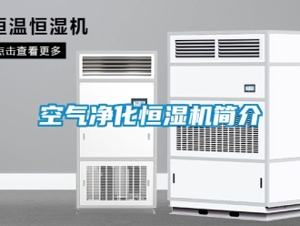 知识百科空气净化恒湿机简介