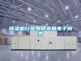 常见问题除湿机行业如何发展电子商务