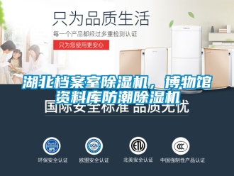 行业新闻湖北档案室除湿机，博物馆资料库防潮除湿机