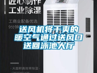 知识百科送风机将干爽的暖空气通过送风口送回泳池大厅