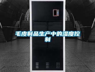 行业新闻毛皮制品生产中的湿度控制