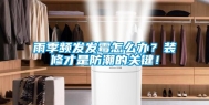 雨季频发发霉怎么办？装修才是防潮的关键！