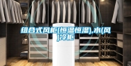 组合式风柜(恒温恒湿),水(风)冷柜