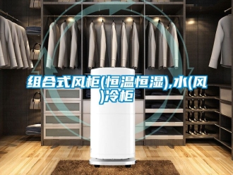 知识百科组合式风柜(恒温恒湿),水(风)冷柜