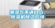 潮湿气不请自入，除湿机除之后快