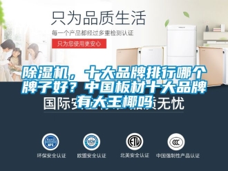 企业新闻除湿机，十大品牌排行哪个牌子好？中国板材十大品牌有大王椰吗