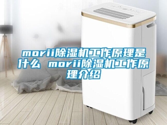 企业新闻morii除湿机工作原理是什么 morii除湿机工作原理介绍
