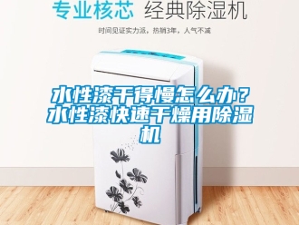 行业新闻水性漆干得慢怎么办？水性漆快速干燥用除湿机