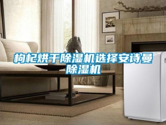 企业新闻枸杞烘干除湿机选择安诗曼除湿机