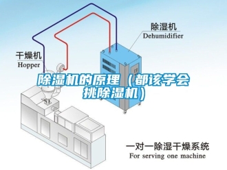 企业新闻除湿机的原理（都该学会挑除湿机）