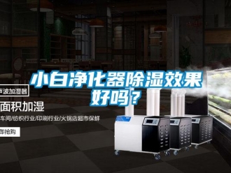 行业新闻小白净化器除湿效果好吗？