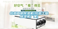 北京工业除湿机(北京工业除湿机厂家)