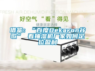 常见问题借鉴：“百度Dekaron谷歌” 看抽湿机厂家如何定位盈利