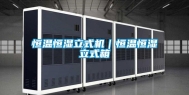恒温恒湿立式机｜恒温恒湿立式箱