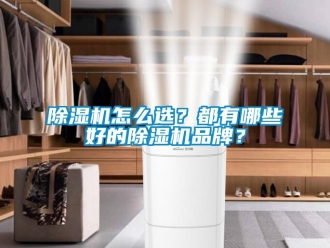 企业新闻除湿机怎么选？都有哪些好的除湿机品牌？