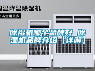 企业新闻除湿机哪个品牌好 除湿机品牌介绍【详解】