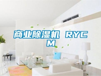 行业新闻商业除湿机 RYCM