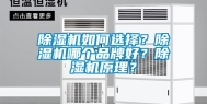 除湿机如何选择？除湿机哪个品牌好？除湿机原理？
