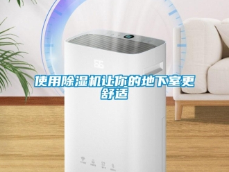 知识百科使用除湿机让你的地下室更舒适