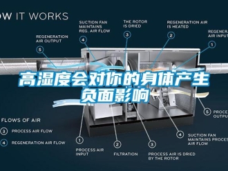 企业新闻高湿度会对你的身体产生负面影响