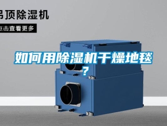 常见问题如何用除湿机干燥地毯？