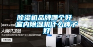 除湿机品牌哪个好 室内除湿机什么牌子好