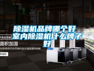 企业新闻除湿机品牌哪个好 室内除湿机什么牌子好