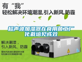 企业新闻超声波加湿器在食用菌工厂化栽培见成效