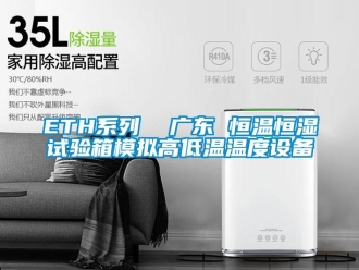 常见问题ETH系列  广东 恒温恒湿试验箱模拟高低温温度设备