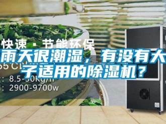 行业新闻下雨天很潮湿，有没有大房子适用的除湿机？